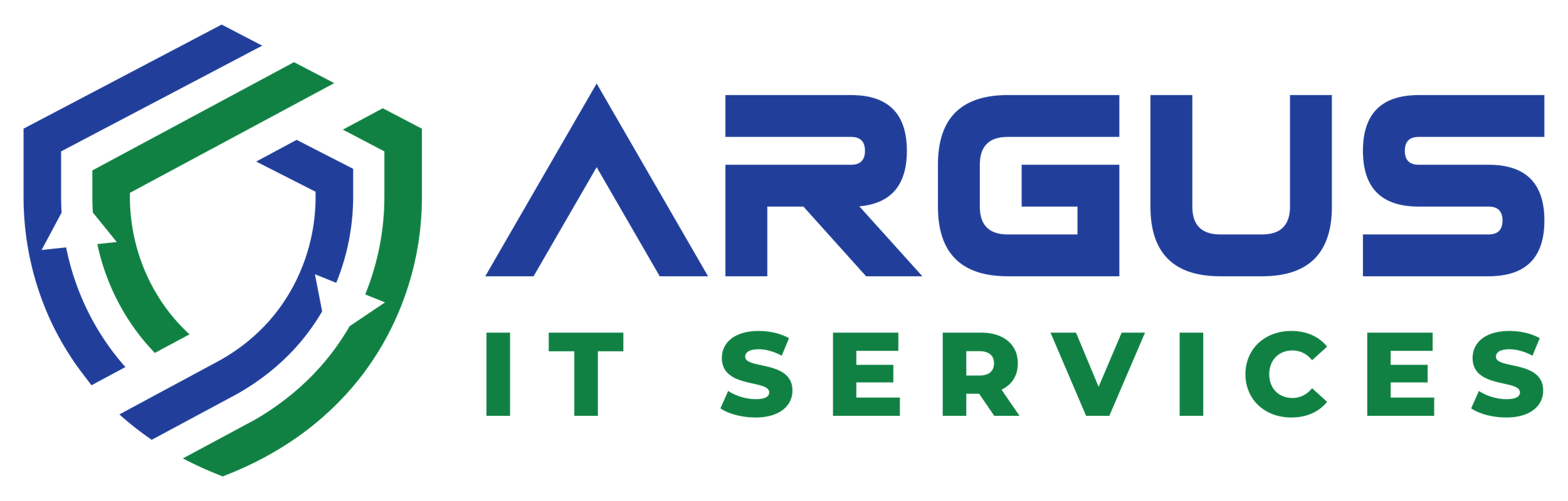 Argus IT Services